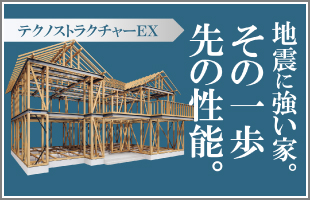 テクノストラクチャーEX